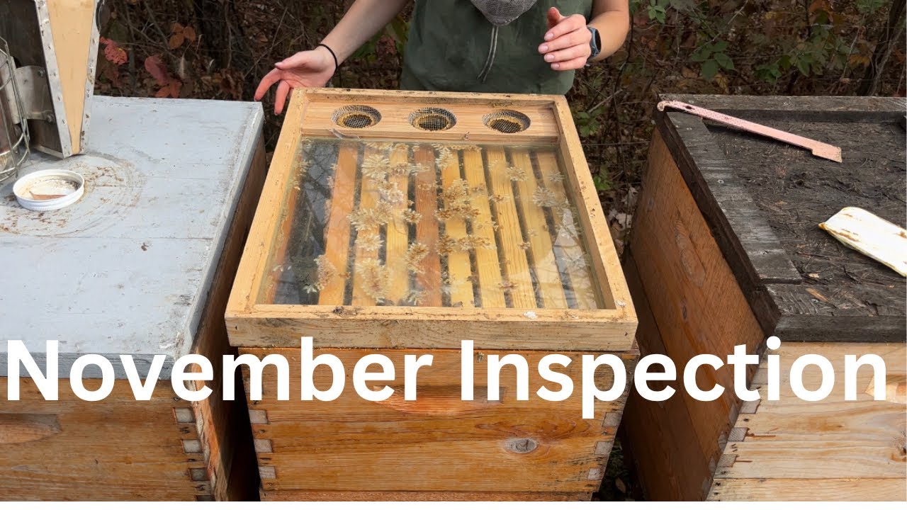 A Late Season Inspection Can Be Your Annual Report Card!