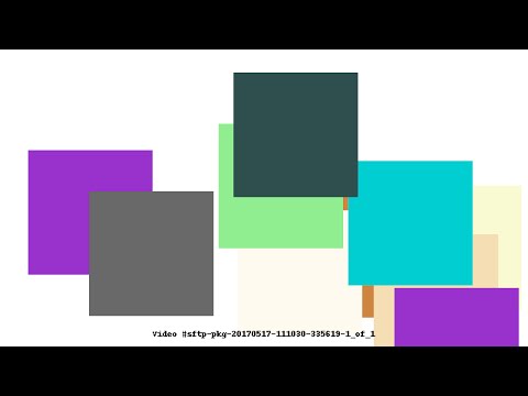 Video #sftp-pkg-20170517-111030-335619-1_of_1