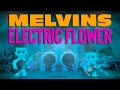 Melvins - Electric Flower (Official Video)