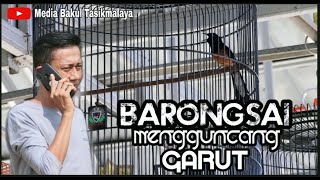 Download lagu MURAI BATU BARONGSAI HARRY K JEMPOL SF MENGGUNCANG GARUT !!! mp3
