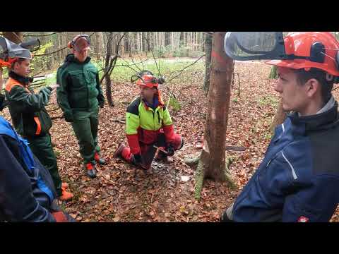 Bruchleiste Sehr Wichtig! Bruchstufe Wichtig!