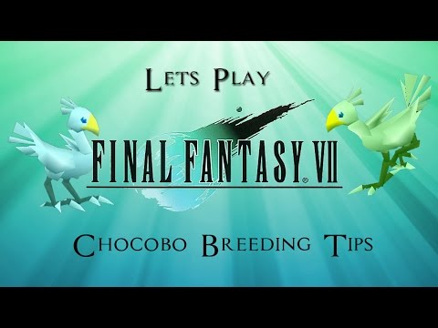 Lets Play: Final Fantasy 7 | Green And Blue Chocobo Breeding Tips |