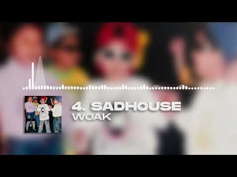 Woak - SadHouse (Visualizer) [Prod. Fabnoisy]