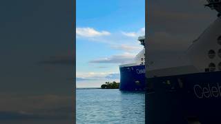 Celebrity Beyond 🛳️⚓️ #like #share #comment #subscribe #cruiseship #cruise #vacation #shorts #short