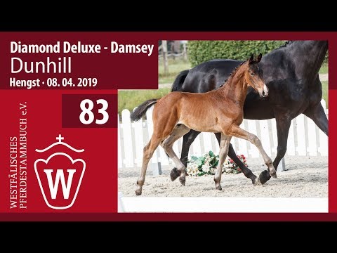 83 Dunhill Hengst v. Diamond Deluxe - Damsey