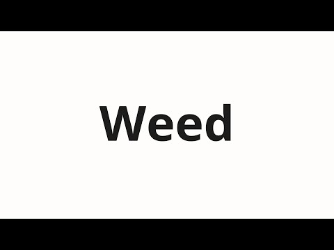 How to pronounce Weed