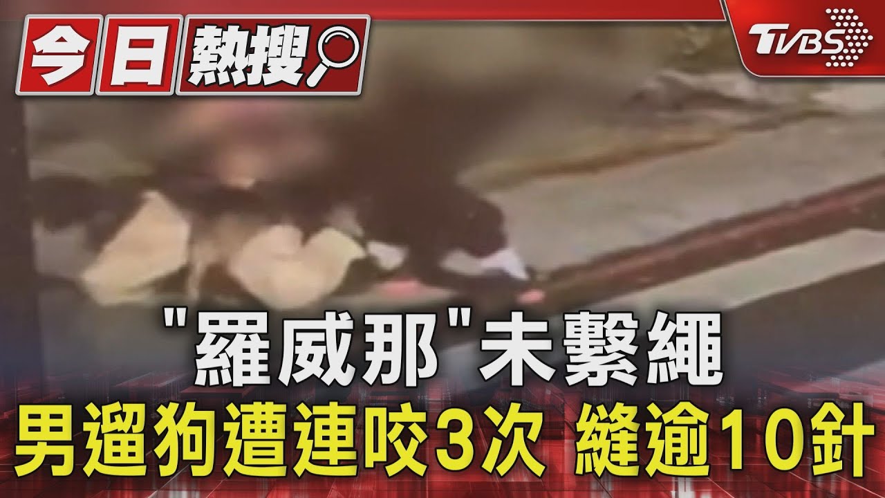 「羅威那」未繫繩男遛狗遭連咬3次縫逾10針