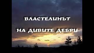 Властелинът на дивите дебри