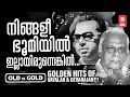 മലയാളസിനിമാസംഗീതത്തിന്റെ അമരക്കാരാ