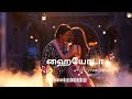 Jawan Hayyoda Song Tamil 3D Music Jawan ஹய்யோடா Pjmusic Hayyoda