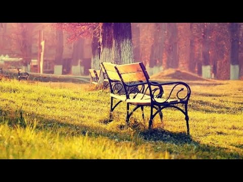 Shfrytëzoje jetën për ta fituar Xhenetin sepse një herë të jepet mundësia