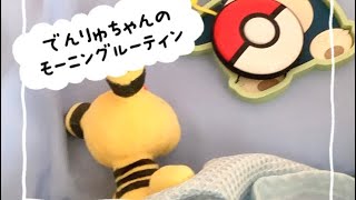 でんりゅちゃんのモーニングルーティン