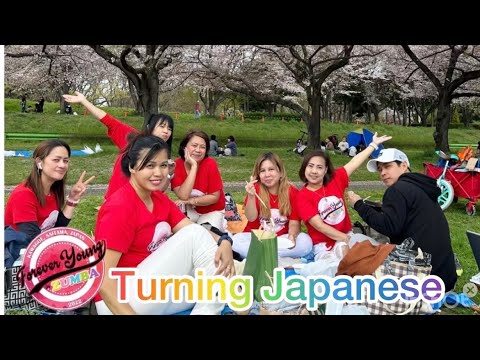 TURNING JAPANESE/ Cherry Blossom/ Spring2023/FYZ Japan