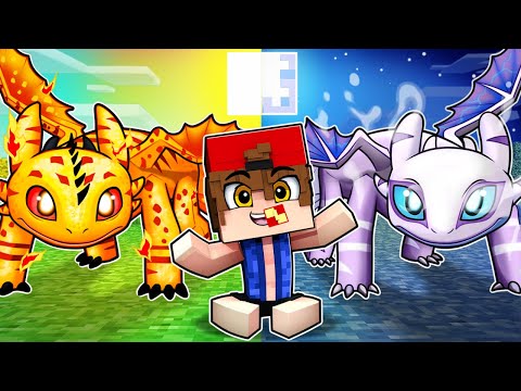 Fury of the Sun and Fury of the Moon adopted Trevin in How to Train Your Dragon Minecraft!