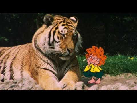 Pumuckl im Zoo - Hörbuch Geschichte für Kinder