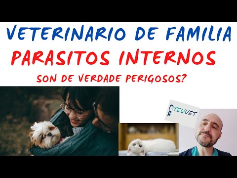 Vídeo: Parasitos internos: son de verdade perigosos?
