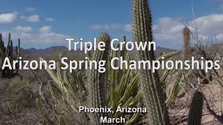 TCS Originals | Destination TCS: Bellevue Dragons Baseball