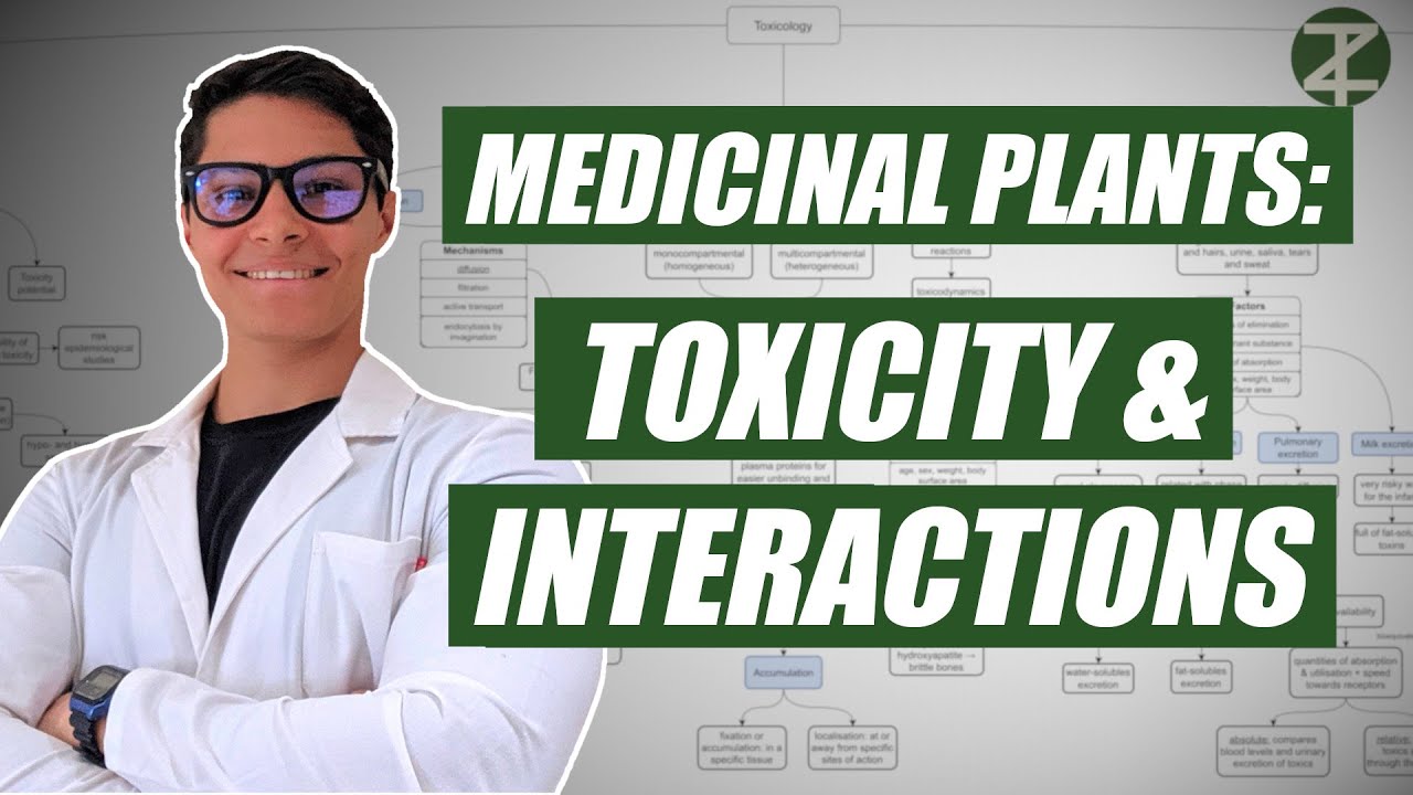 Plants Toxicity, Adverse Reactions, and Interactions