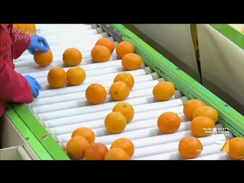 Euroagrumi - L'arancia rossa a L'ingrediente perfetto