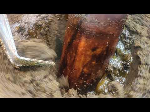 Making of Cold Pressed Mustard oil in wood churner.