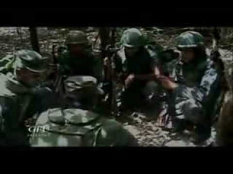 Sebala viru souranane