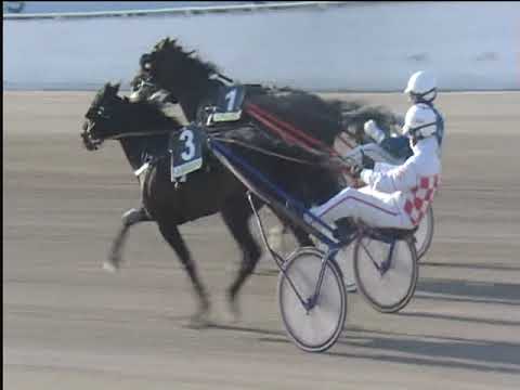 Trotto 14/04/2019 - 8ª corsa