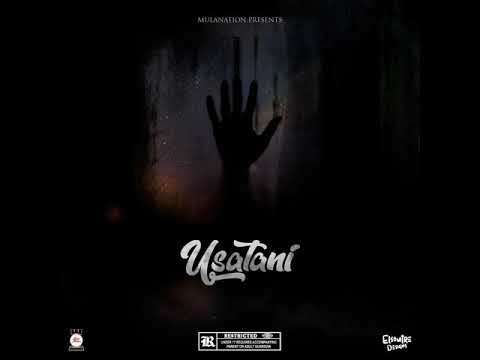 MulaNationGroup - Usatani (Audio)(ft. ScripMula , VoltzJt & Rockie Dub)