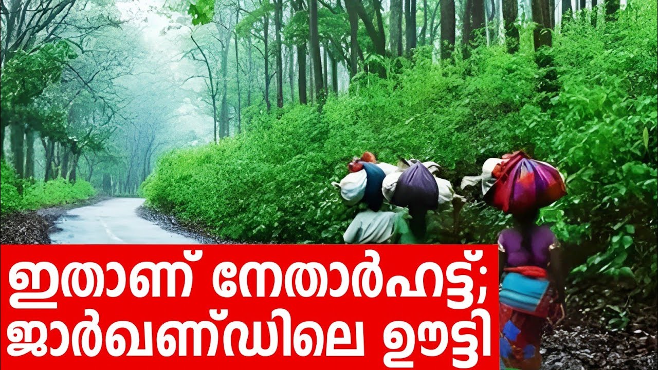 Sancharam | Ranchi -13 | Santhosh George Kulangara | Safari TV