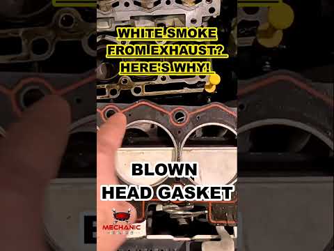 White Smoke Coming From Exhaust? 6 Common Causes!