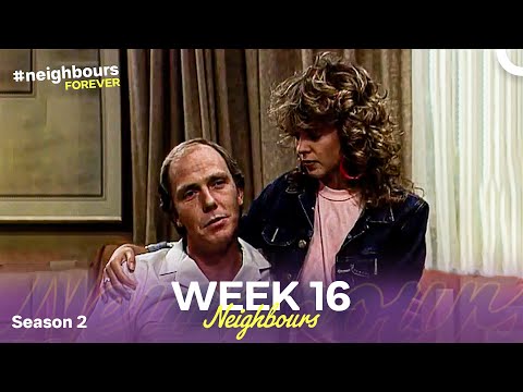 Week 16 | Episodes 246-250 | Neighbours 1986 (Season 2)