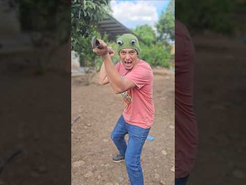 La IGUANA MISTERIOSA 🦎 #shorts #viralvideo