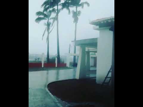 Vendaval video