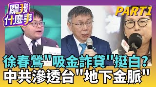 徐春鶯涉犯反滲透法.地下匯兌.詐貸...藍白挺到底?內幕驚人? 柯一句