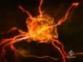 Burn Energy Drink Spot
