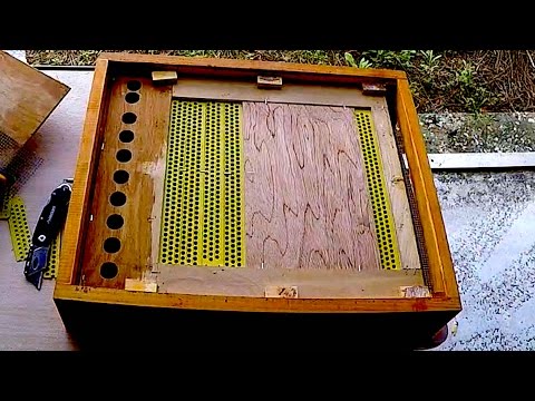 Improving Sundance pollen trap