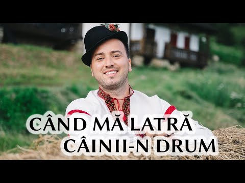 Alexandru Bradatan - Cand ma latra cainii-n drum