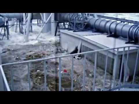 ZDFzoom: Die Fukushima-Lüge