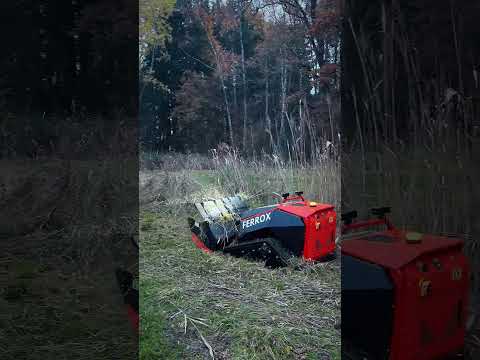 Vodex Ferrox #funkraupe #automobile #hangmäher #lawnmower