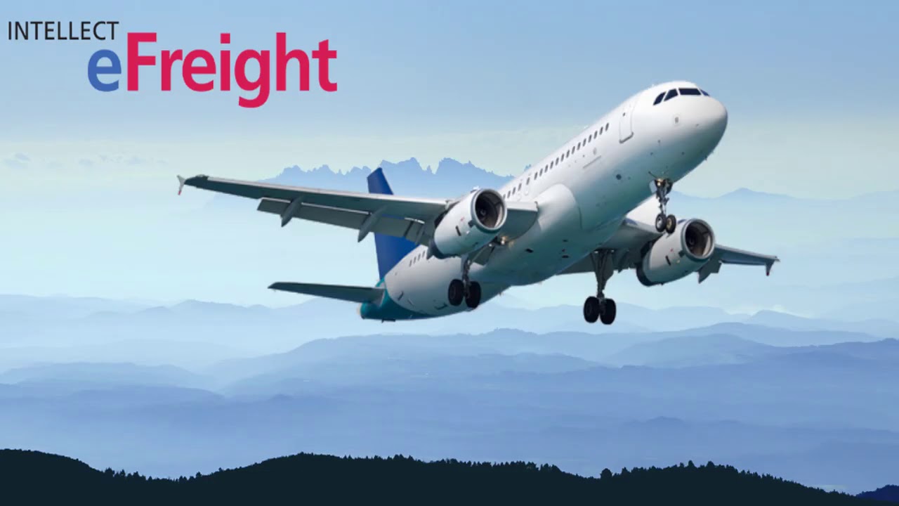 Global Shipping Software Video