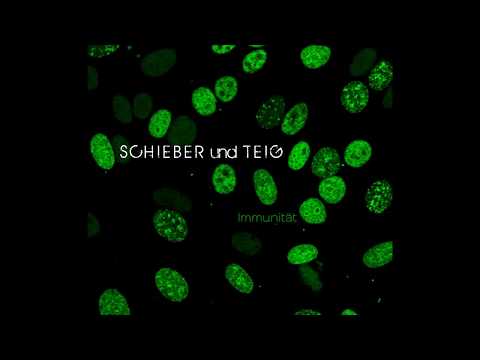 Crystal F & Stui Crank - S. S. S. T.