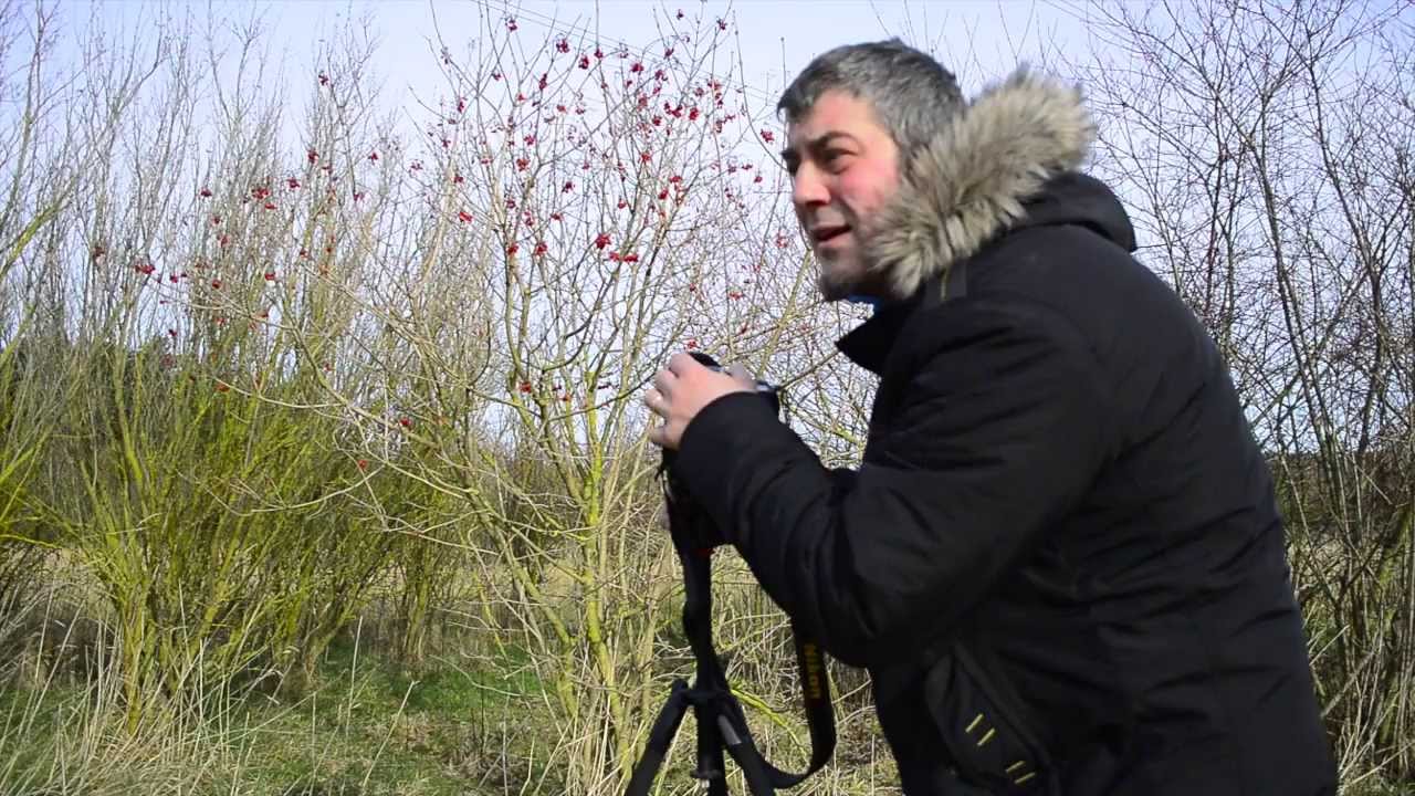 Fotografie für Anfänger und Einsteiger der Trailer
