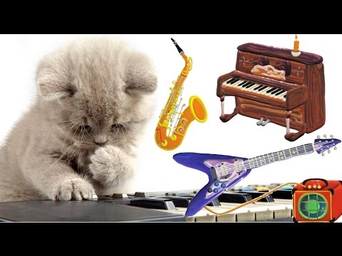 Musical Instruments for Kids – The Little Orchestra | MusicMakers with KIDS & ANIMALS - Baby Teacher