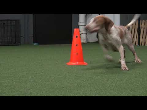 Med samspel i sikte-en kurs för motivation