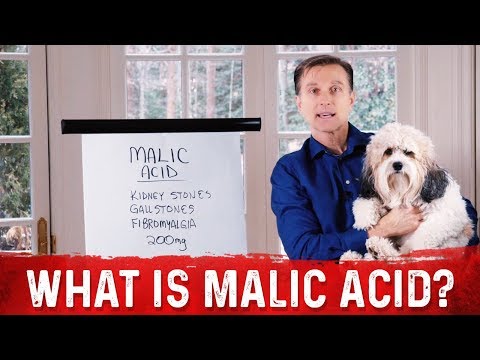 An APPLE a Day Will NOT Let Your Weight Go Away – Dr Berg