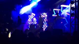 Wild Motion (set it free)- Miami Horror @ Universidad Anáhuac México