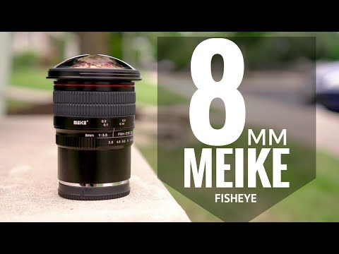 Video thumbnail for Video Review 3