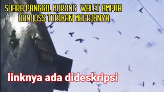Download lagu suara panggil burung walet ampuh dan joss tarikan magribnya mp3 Download lagu suara panggil burung walet ampuh dan joss tarikan magribnya mp3