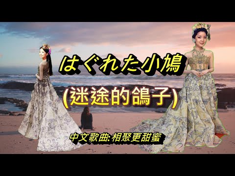 はぐれた小鳩(迷途的鴿子)---鄧麗君 Teresa Teng テレサ テン(中文歌曲相聚更甜蜜)