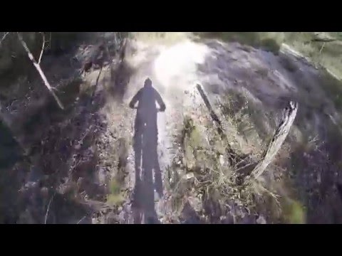 Norco Torrent 7.1 Phils Trail