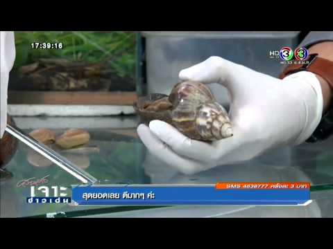การรักษาด้วยโอโซนสำหรับโรคสะเก็ดเงินที่ใช้ ฉันมีโรคสะเก็ดเงินบนใบหน้า
